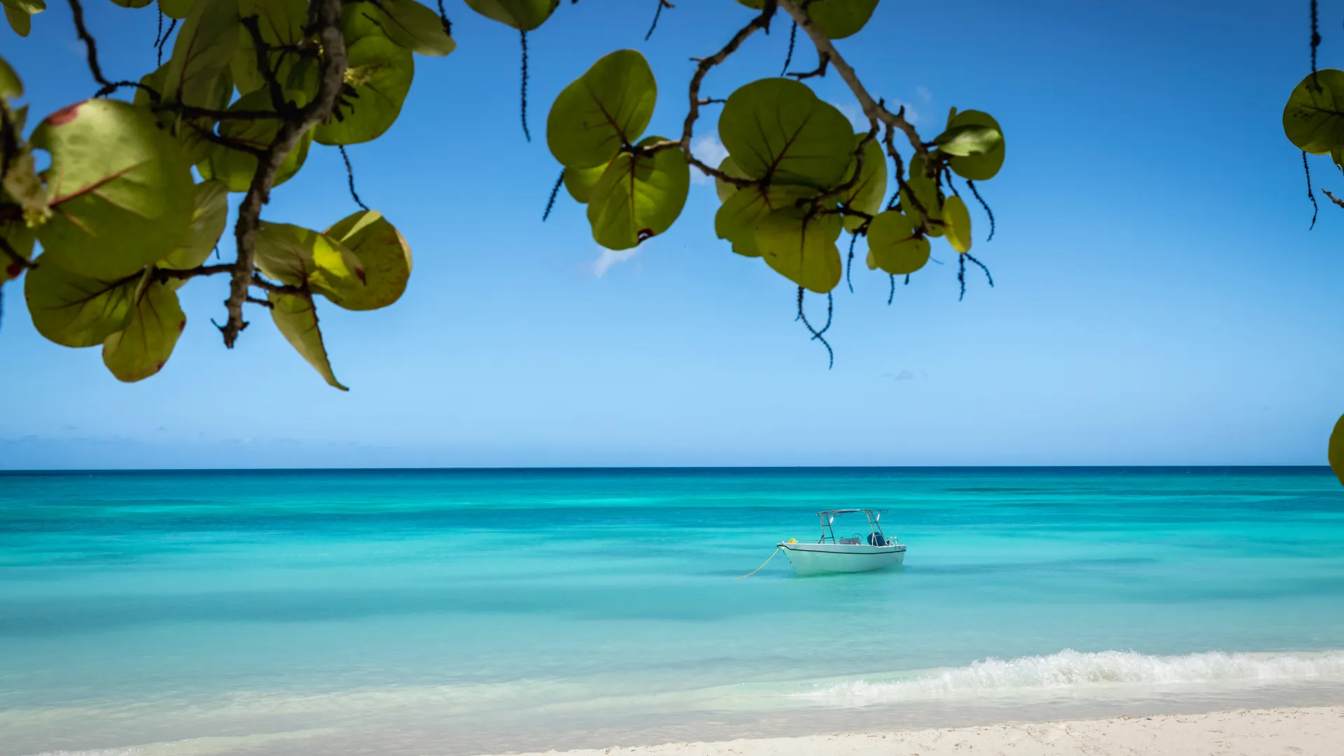 Top 8 must-visit destinations in north america & caribbean